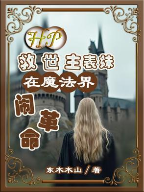 hp 救世主的执念 hp 救世主的执念