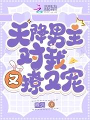 天降男主免费观看 天降男主免费观看