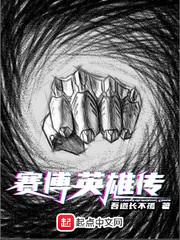 赛博英雄传 赛博英雄传