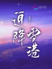 迫降雪港 迫降雪港