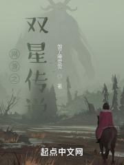 网游之双星传说 网游之双星传说