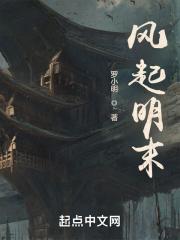 风起明末 风起明末