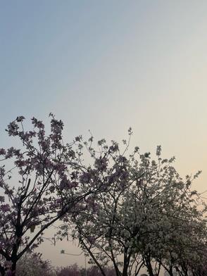 师父和灵溪 师父和灵溪